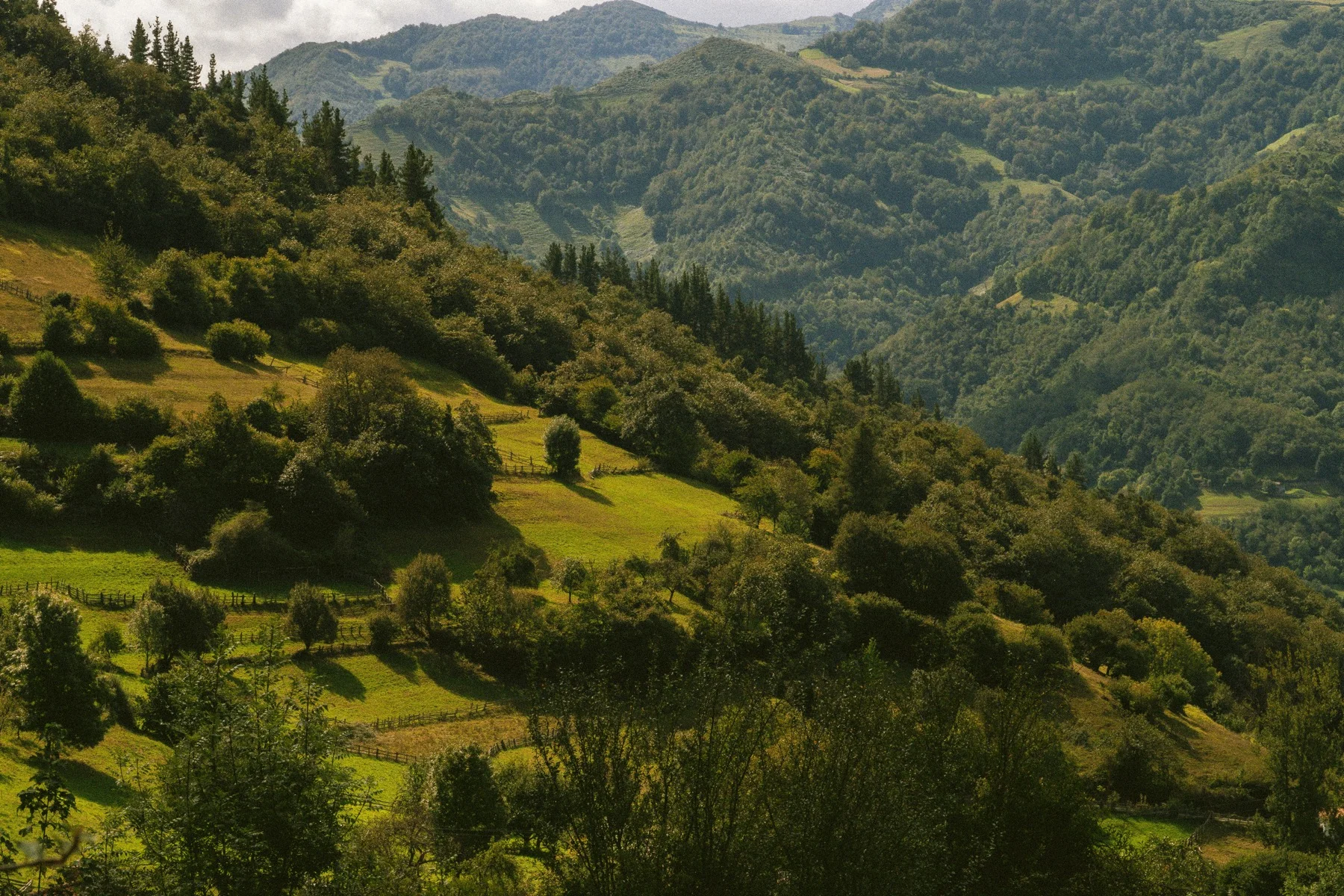 Ruralta — branding para alojamiento de turismo rural en La Rioja